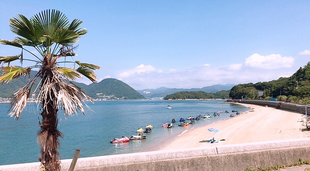 マリンパーク海族 トップ マリンパーク海族では海水浴 マリンスポーツ バーベキュー キャンプなどが楽しめます